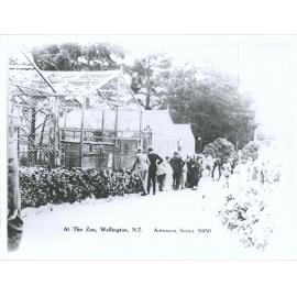 At The Zoo, Wellington, N.Z.