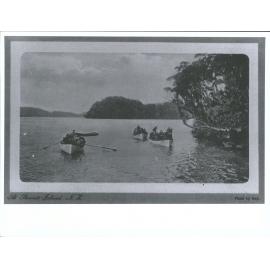 At Stewart Island, N.Z.