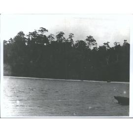 "Tignabruaich", Stewart Island