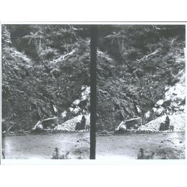 A woman sitting near native bush