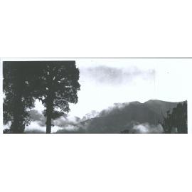 The Alps from the Plains of Westland