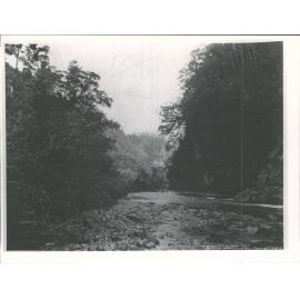 10 Mile Creek, West Coast, N.Z.