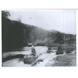 Hope Crossing, Westland