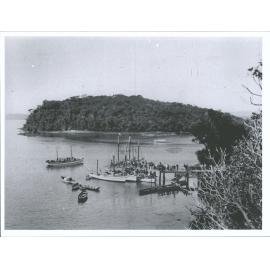 Golden Bay and Iona, Stewart Island, N.Z.