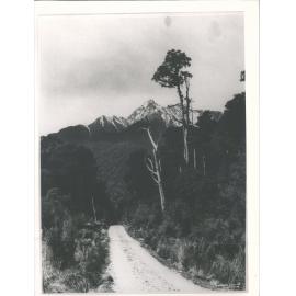 South Westland - Waiho Gorge