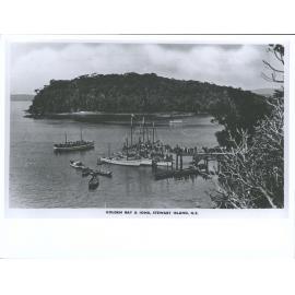 Golden Bay and Iona, Stewart Island, N.Z.