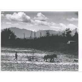 Agriculture - Horse Plough