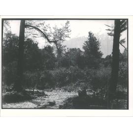 Mt Alexander, West Coast Road