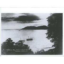 Halfmoon Bay, Stewart Island, N.Z.