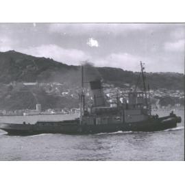 Taioma