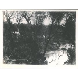 Halfmoon Bay, Stewart Island