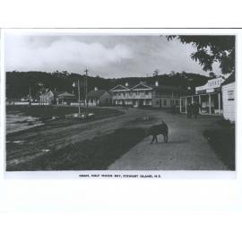 Oban, Half Moon Bay, Stewart Island, N.Z.