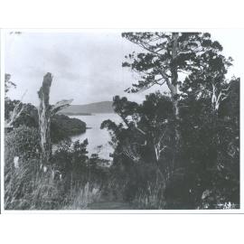 Overlooking Paterson Inlet