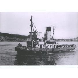 Tapuhi