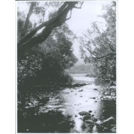 Paterson Inlet, Stewart Island