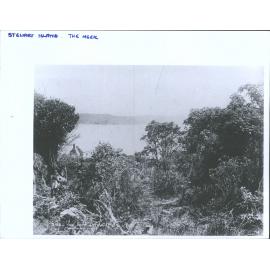 The Neck, Stewart Island