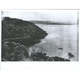 The Neck - Thompson's Cove