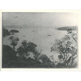 Paterson Inlet from The Neck, Stewart Island