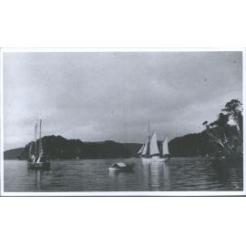 Rakiura and Scout at Port Pegasus