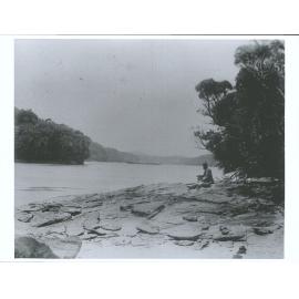 Andreas Reischek at Port Pegasus, Evening Cove