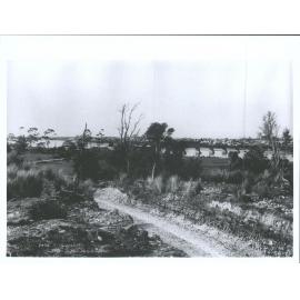 Bridge - Buller River