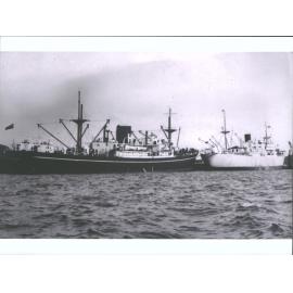 Trelevan