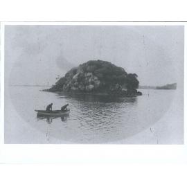 Ulva Island