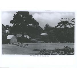 Ulva Cove, Stewart Island, N.Z.