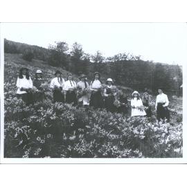 Young Helpers' League, Lawrence