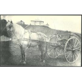Horse and cart in front of George Duncan's House on View St, Stirling Hill