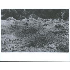 "Basin of Mud Volcanoes, Whakarewarewa"