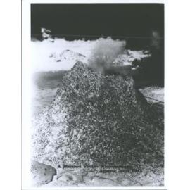 A Miniature Volcano, Whakarewarewa, N.Z.