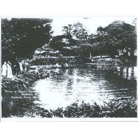 View in Ngaere Gardens, Stratford, N.Z.
