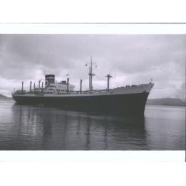 TASMANIA STAR