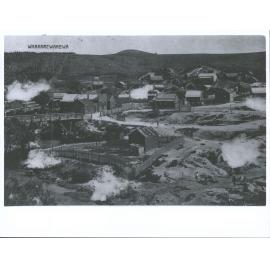 Whakarewarewa Village