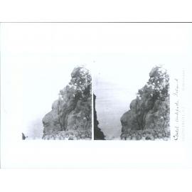 Gulch, Antipodes Island