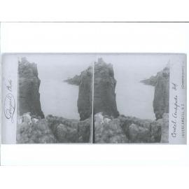 Gulch, Antipodes Island