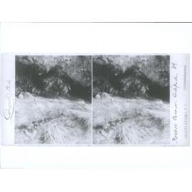 Foster's Grave, Antipodes Islands