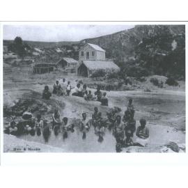 In the Ngawhas, Whakarewarewa