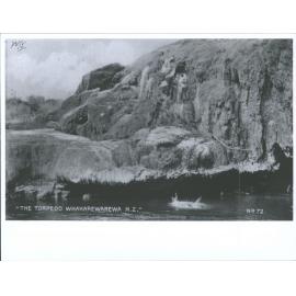 The Torpedo, Whakarewarewa, N.Z.