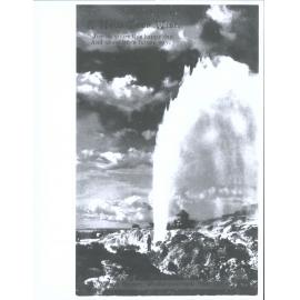 Wairoa Geyser, Whakarewarewa, N.Z.