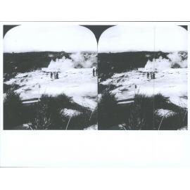 Prince of Wales Feathers Geyser