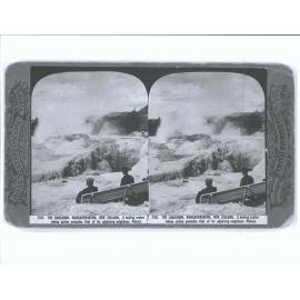 The Cauldron, Whakarewarewa, New Zealand