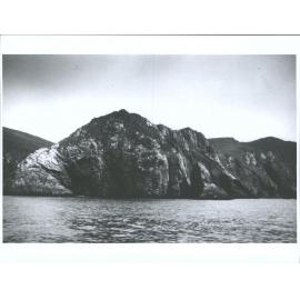 North East Coastline, Disappointment Island