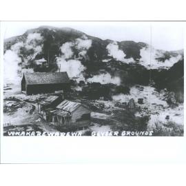 Whakarewarewa Geyser Grounds