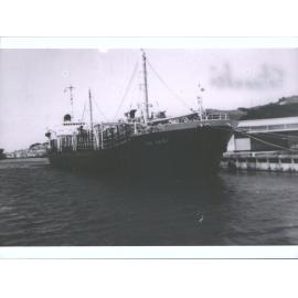 THE DAISY