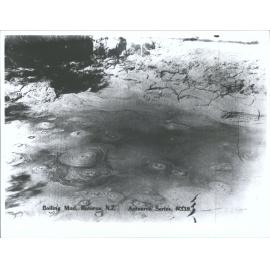 Boiling Mud, Rotorua, N.Z.
