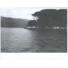 Old Provisions Depot, Camp Cove, Carnley Harbour