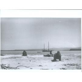 Sea Lions on Sandy Bay Beach, Enderby Islands, with Ketch "New Golden Hind"