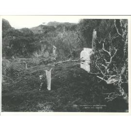 Shipwrecked Sailors Grave